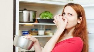 Buzdolabı Kokusu Nasıl Geçer ?